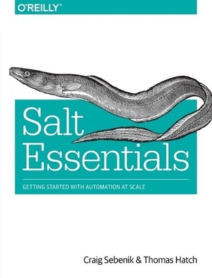 Salt Essentials - 9781491900635