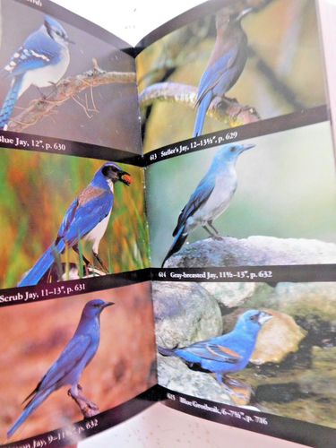 1997 National Audubon Society Field Guide to North American Birds Western Region - Picture 6 of 9
