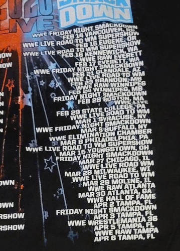 Wrestling WWE RAW Live Smack Down 2020 T-Shirt Herren Gr. Large Boston 28.02.20 - Bild 5 von 6