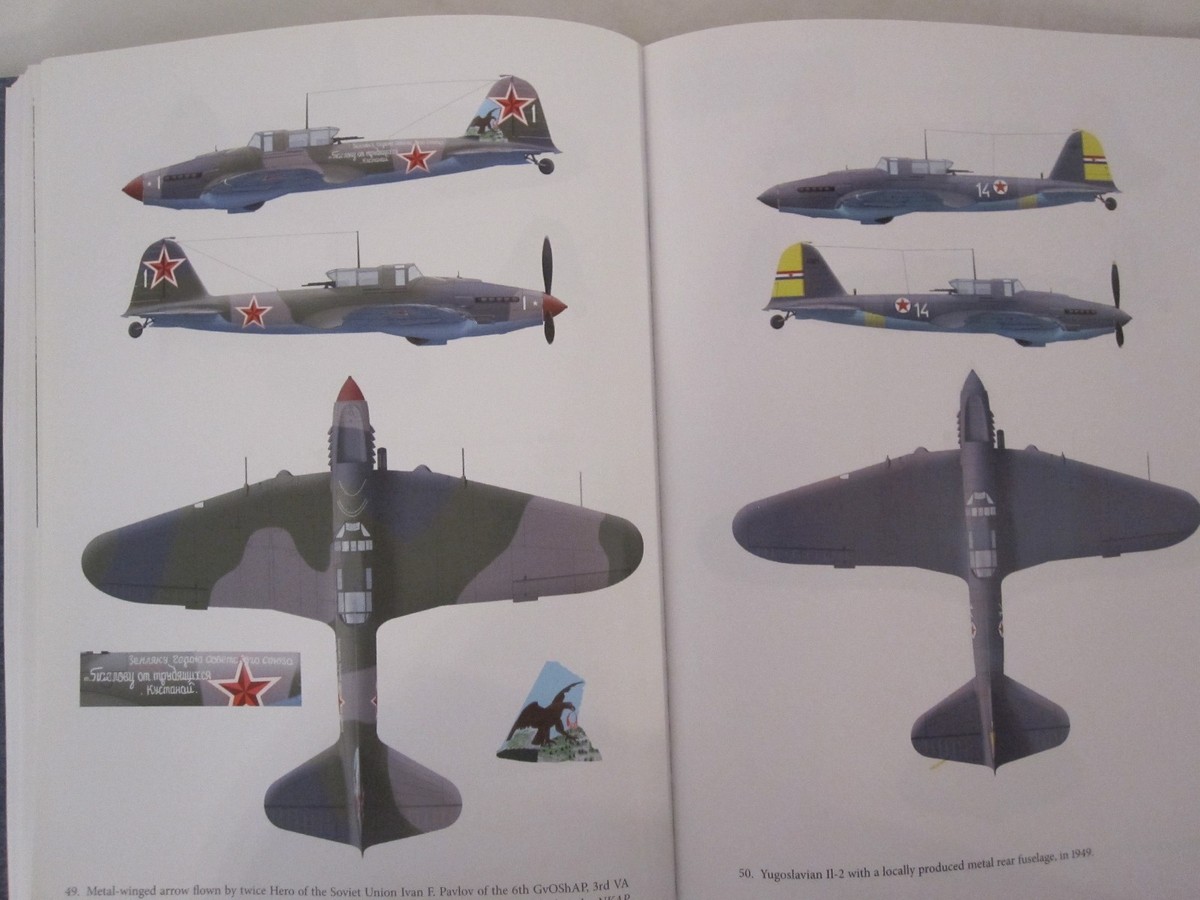 Il-2 Shturmovik: Red Avenger by Jason Moore (2015, Hardcover) for