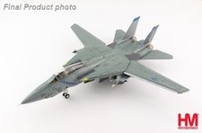 Grumman F-14B Tomcat, OEF, 163220, VF-143, Pukin Dogs, 2002