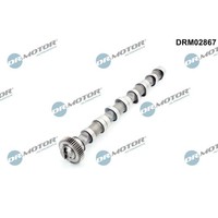 Dr.Motor Nockenwelle Einlassseite Passend FüR Audi A1 A3 A4 A5 A6 Q3 Q5 TT Seat