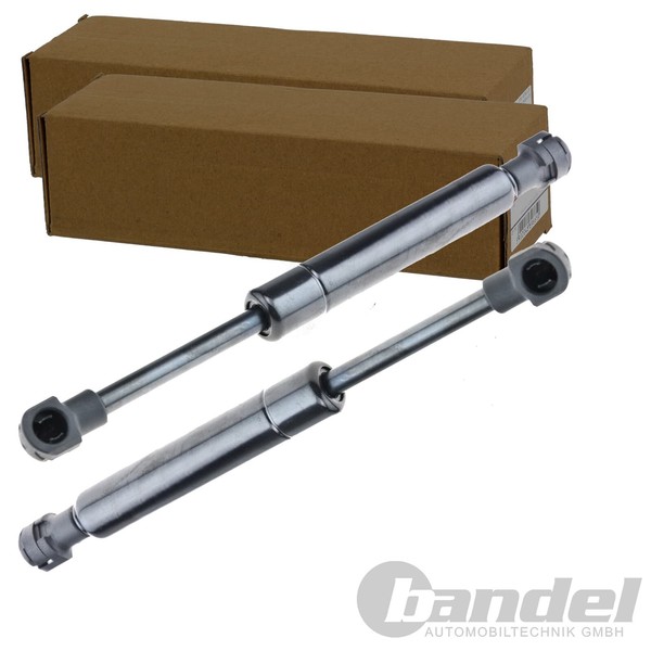2X NTY Gasfedern KOFFERRAUM-LIFTER Passend FüR Ford Street | AE-FR-044-image