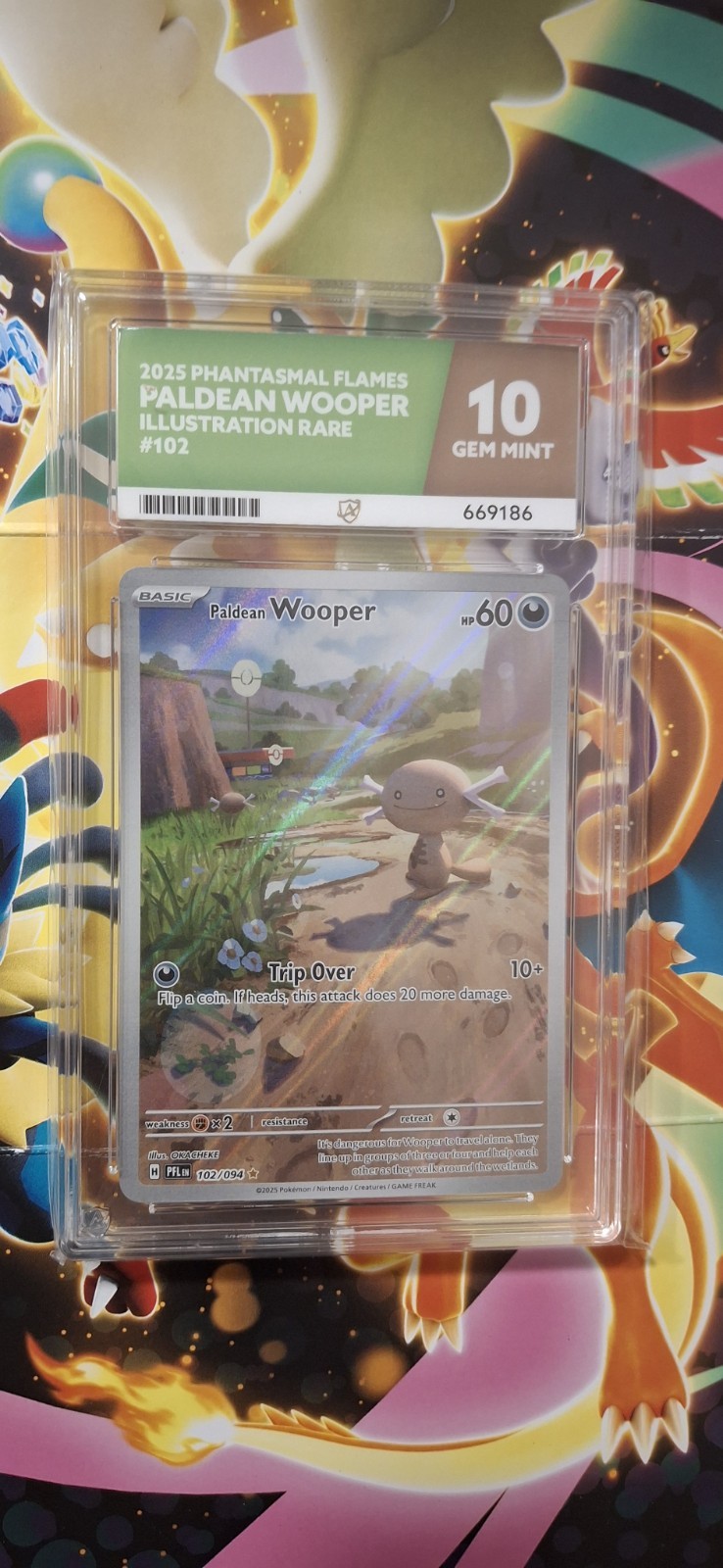 GEM MINT 10 Paldean Wooper 102/094 Phantasmal Flames Illustration Rare