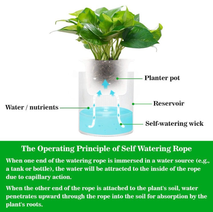 Self Watering Rope - 50 Feet × 1/4 Inch Self Watering Rope for Plants ...