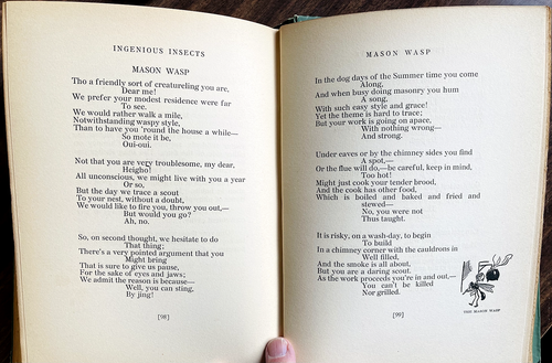 1924 ANTICS of the ANTS Done In Verse & Prose by A. Salyer 1st/121pp/ILLUSTRATED - Picture 6 of 24
