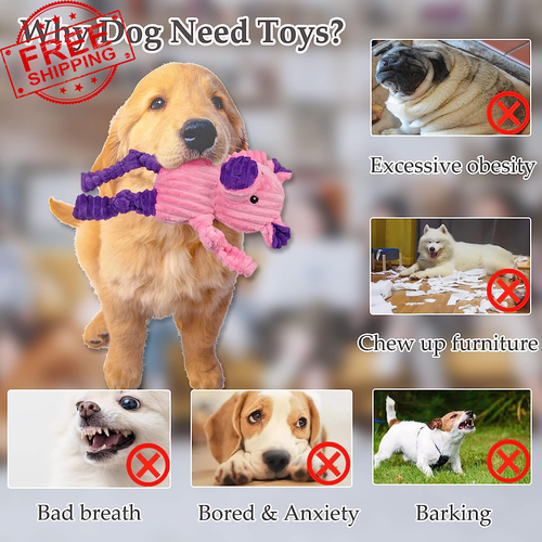 5 Pack Tough Dog Toys Stuffed Squeaky Dog Toys Assortment Plush Animal Dog Toy V - Picture 4 of 12