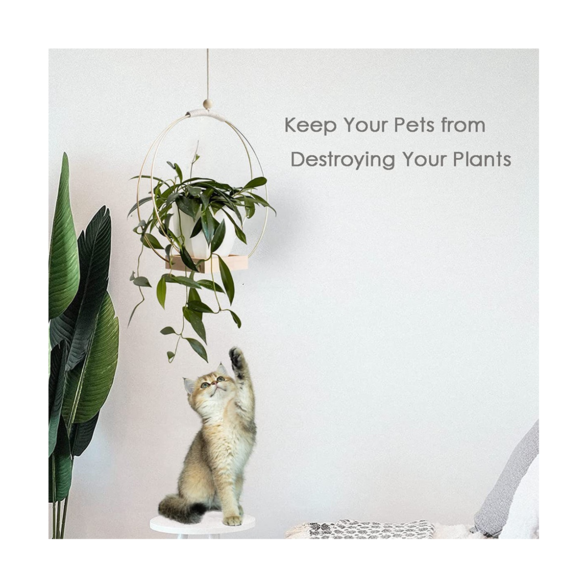 Flower Pot Wreath Iron Wreath Wall Hanging Plant Hanger with Wooden