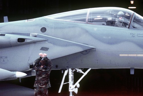 CAPPELLO DA BAVERO IN PELTRO F-15 E EAGLE STRIKE FIGHTER PIN UP MADE IN US AIR FORCE WING - Foto 16 di 24
