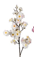 PfirsichblüTen Zweig Mit Vielen BlüTen Weiß Creme 90Cm Formano Kunstblumen F25