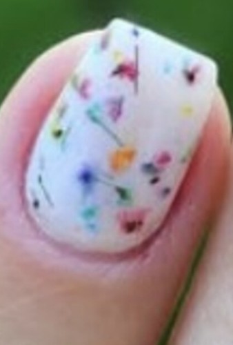 Sparkle & Co Nail Dip Powder Among the Wildflowers White Flower Petals