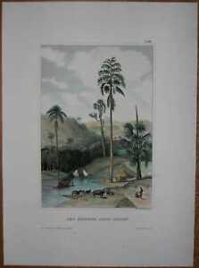 1852-Meyer-print-SCENE-NEAR-COLOMBO-CEYLON-SRI-LANKA-28