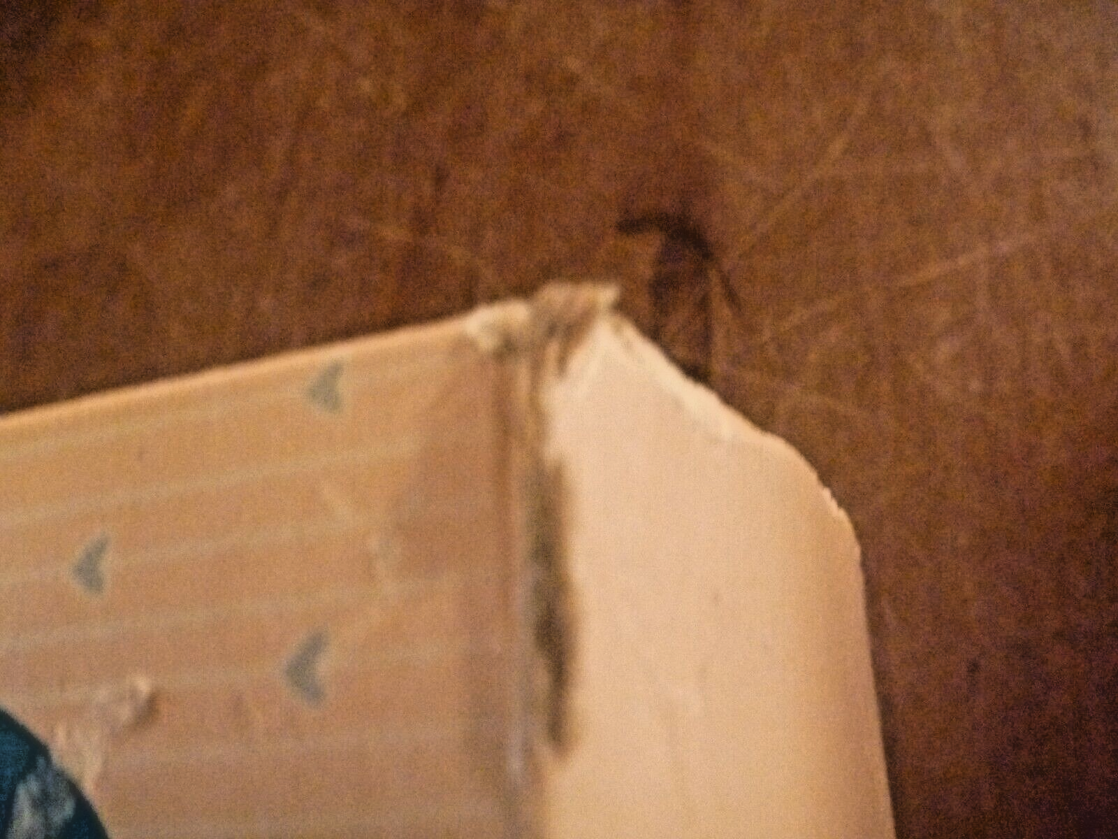 Bild 12 von 23