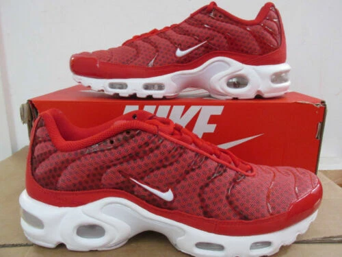 Nike Air Max Plus Men's Trainers