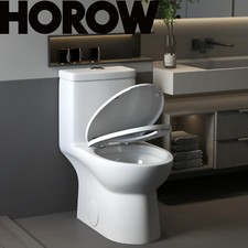 Elongated Dual-Flush One-Piece Toilet With Glazed Surface 17'' Soft-close Seat
