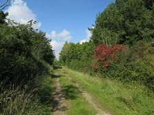 Photo 6x4 Path around Wilsey Haverhill/TL6645  c2015