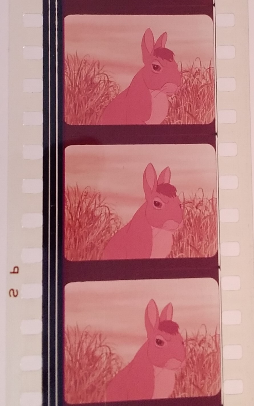 Foto 7 di 11