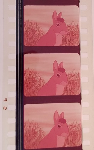 35mm Feature Film – Watership Down 1978 - Foto 7 di 11