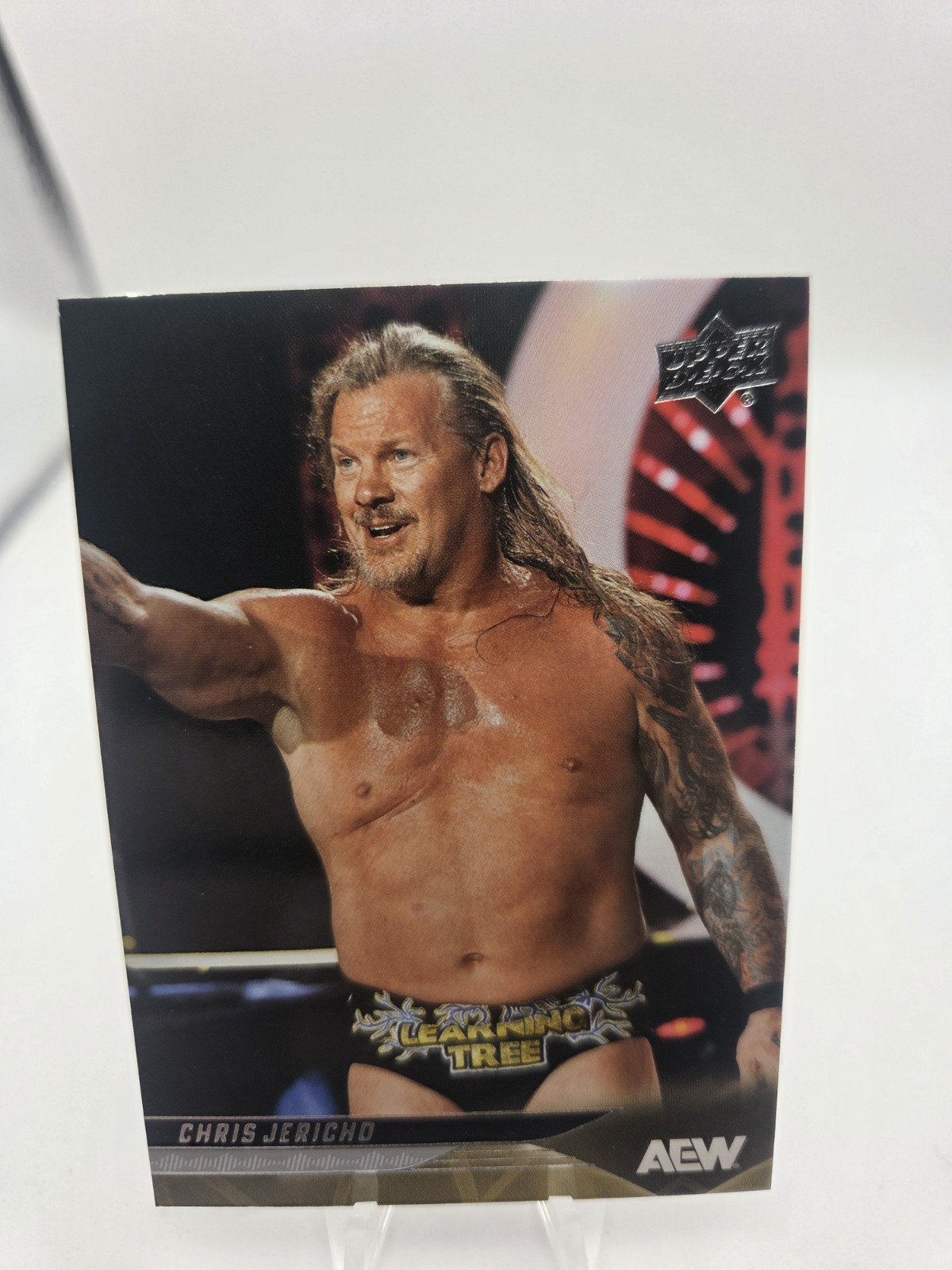 2025 Upper Deck AEW All Elite Wrestling Chris Jericho  #18