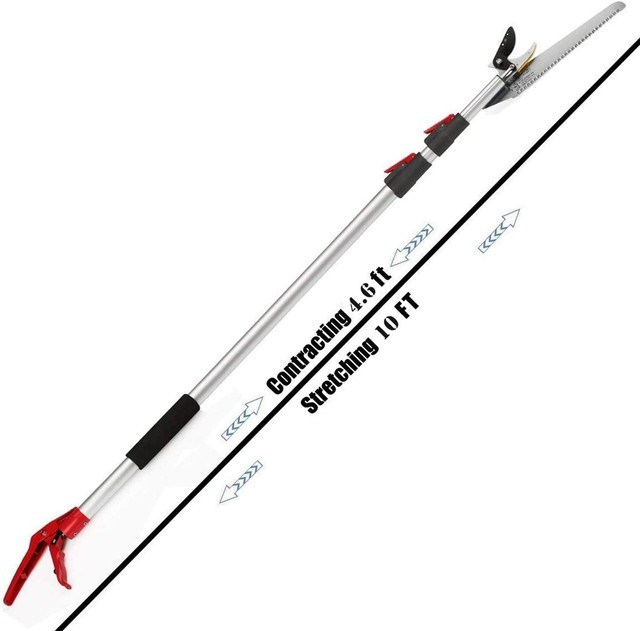 Extendable Tree Pruner Cut Hold Pruning 