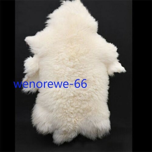 Luxury 100% Real Sheepskin Rug - Super Soft Fluffy Fur Mat Natural Windward Hide - Picture 7 of 15