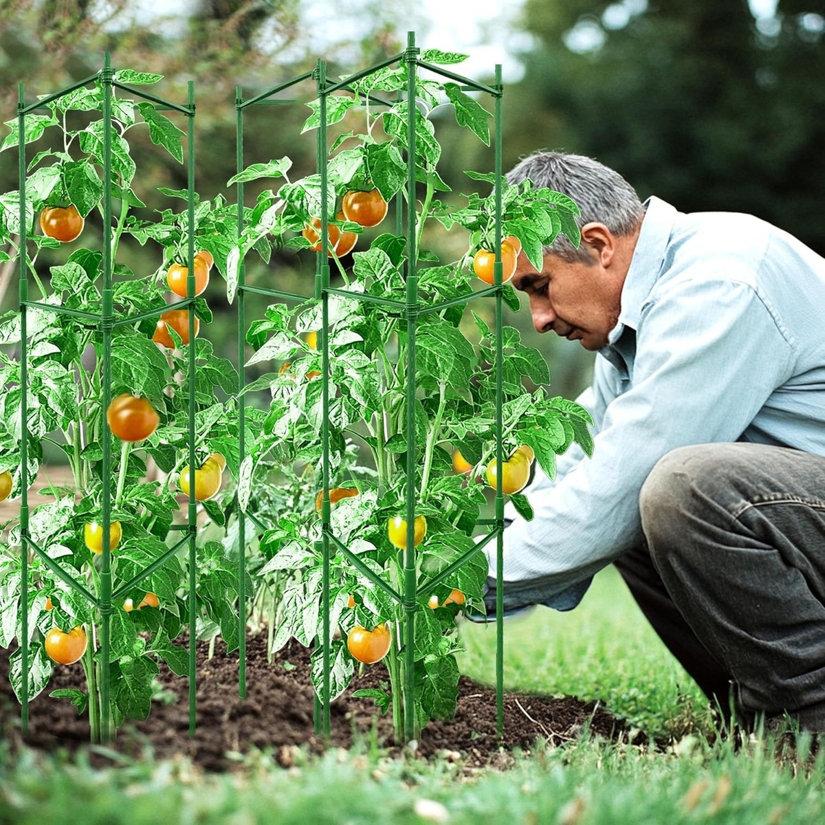 4-Pack 48-Inch Adjustable Tomato Cages, Heavy-Duty Metal Plant