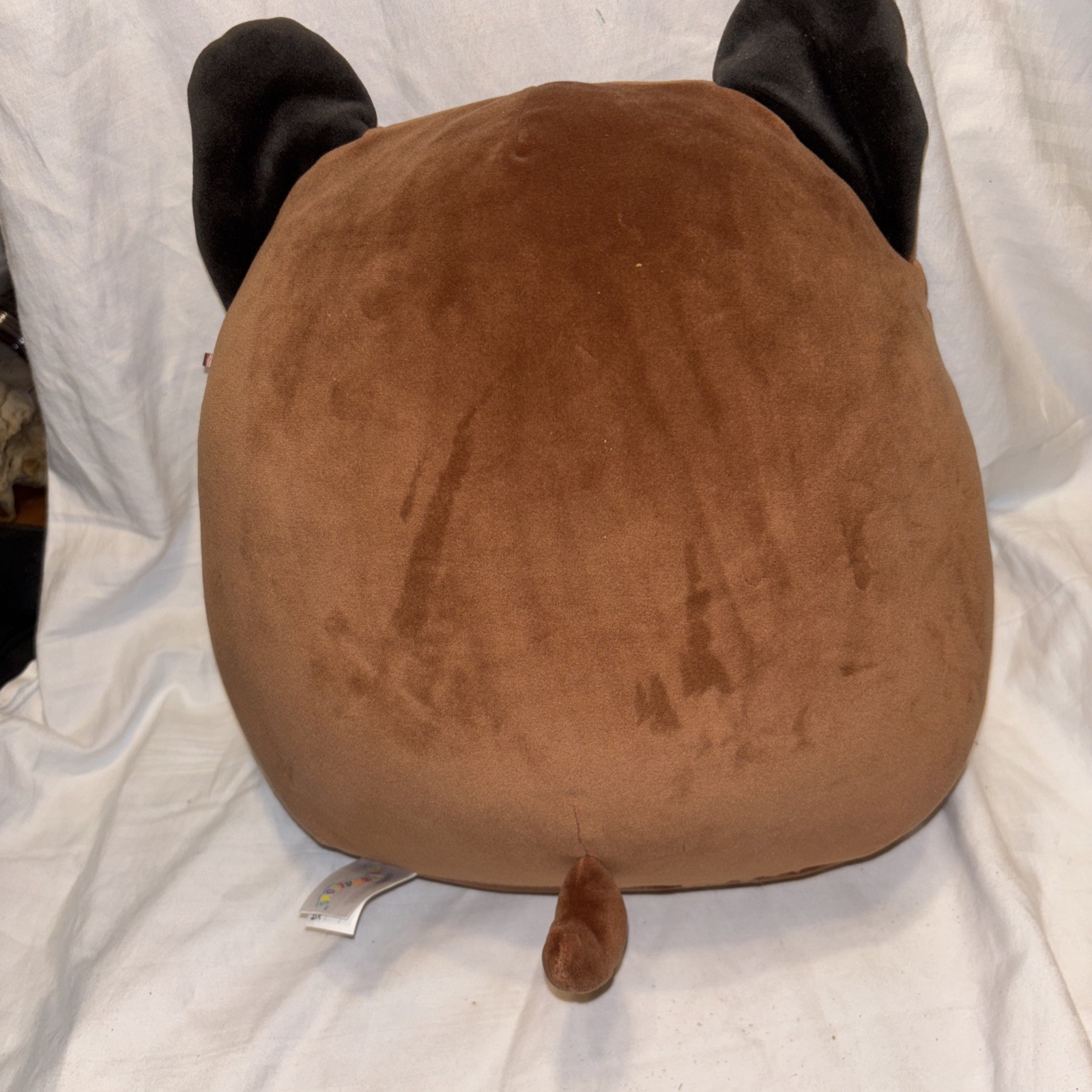 Picture 2 of 6