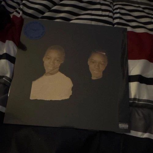 Vince Staples Ramona Park Broke My Heart 12" LP Vinyl