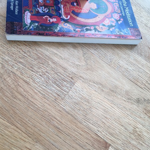 Samatha Meditation - Gen Lamrimpa (PB Book 1992) Translated by B.A. Wallace - 第 6/13 張圖片