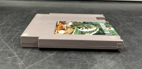 The Immortal (Nintendo Entertainment System, NES) Cartridge Only