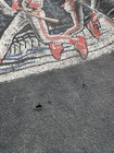 Picture 5 of 6