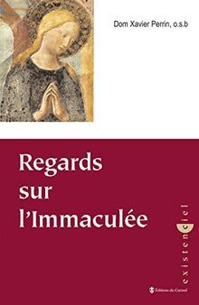 Regards sur lImmaculée von Perrin, Xavier | Buch | Zustand sehr gut