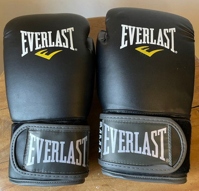 NEU Everlast Muay Thai 12oz Boxhandschuhe Sparring Profi MMA Erwachsene