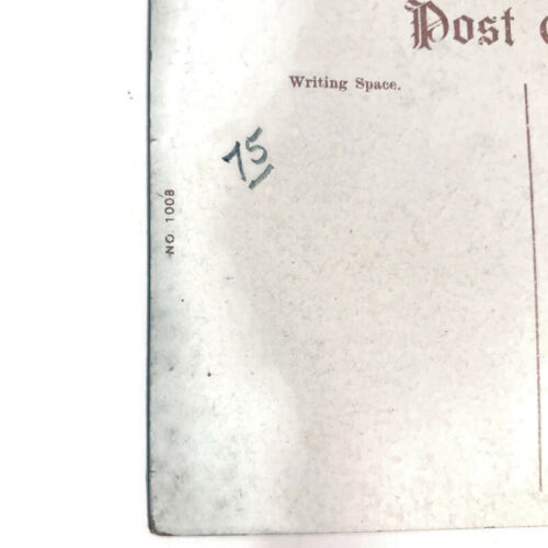 Postal Color Chestnut Hill Reservoir Brookline MA Massachusetts No. 1009 - Imagen 5 de 5