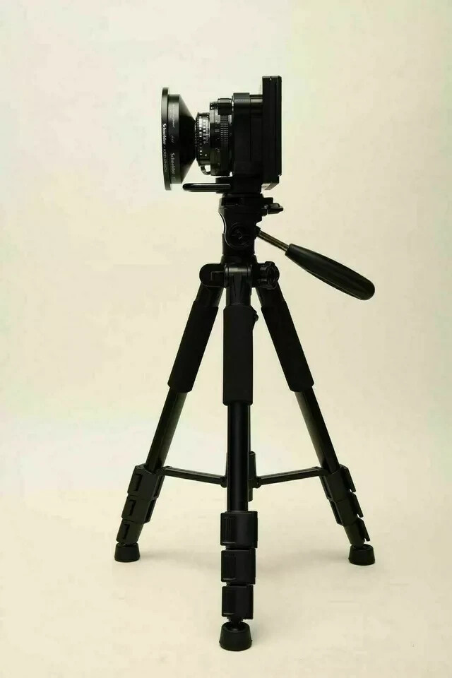 Foto 9 di 10