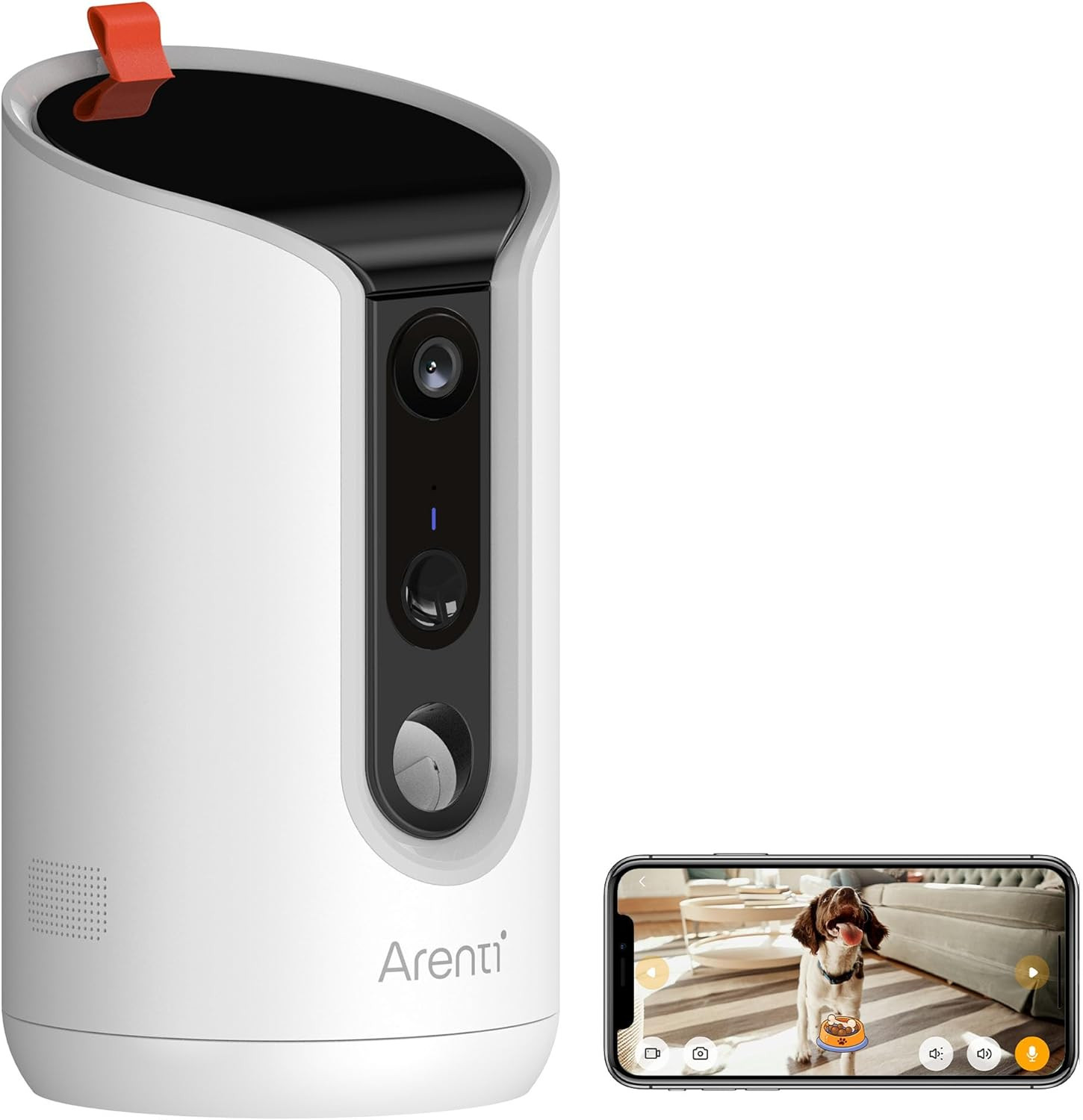 Mai più Soli: Dispenser WiFi Gatti con Telecamera 3MP per Restare Vicini