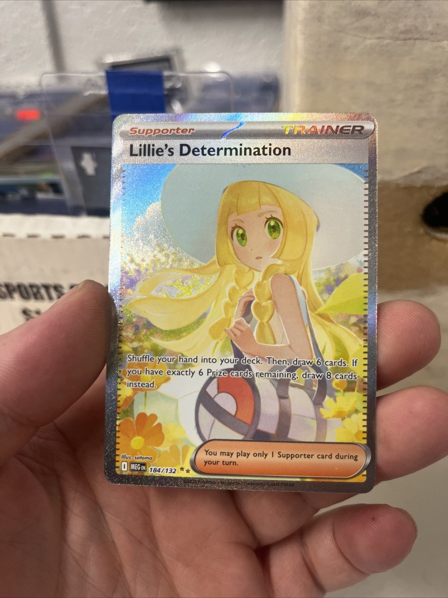 りりぃ38 Lillies Determination SIR 184/132 ENGLISH Trainer Mega