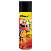 Wasp & Hornet Killer Iib, 16 Oz Aerosol Can 1045839ea Wasp & Hornet Killer Iib, 16 Oz Aerosol Can 1045839ea