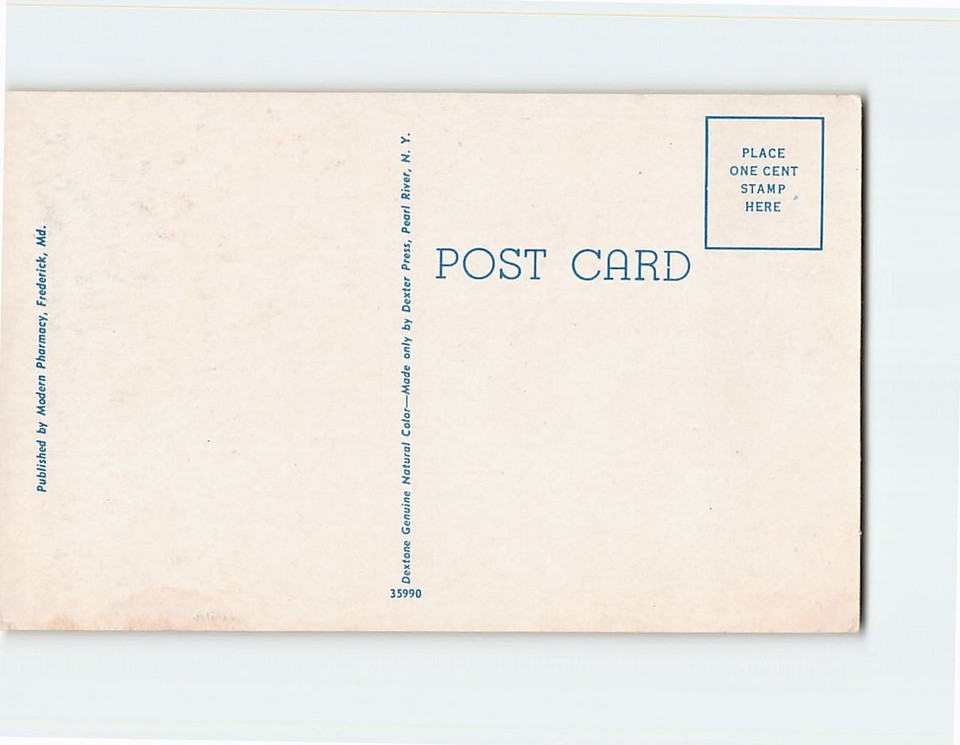 Postcard Lily Pond Japanese Garden Country Club District Kansas City MO