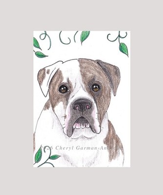 ACEO  Print American Bulldog Pet Portrait Illustration by Cheryl Andrade