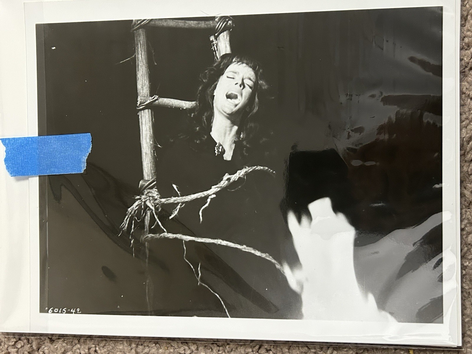 Picture 8 of 15
