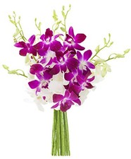 - Exotic Opal Orchid Bouquet of Orchids 10 count Purple and White Without Vase