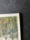 Picture 5 of 6