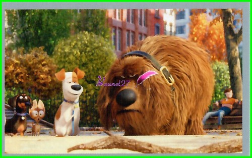 Image PANINI " Comme des Bêtes " - " The secret life of Pets "Universal - Imagen 28 de 41