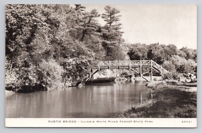 White Pines Forest State Park Gateway to No Man's Land C. R. Childs Co Postcard