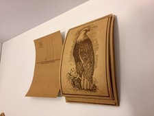Lot Of 20 Vintage Eagle Postcards