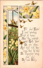 Butterfly Featured on Interesting Vintage Greeting Postcard m/12 BJ3109