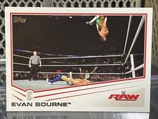 2013 Topps WWE Evan Bourne Wrestling Card #14 WWF TNA PWG MLW AEW Matt Sydal