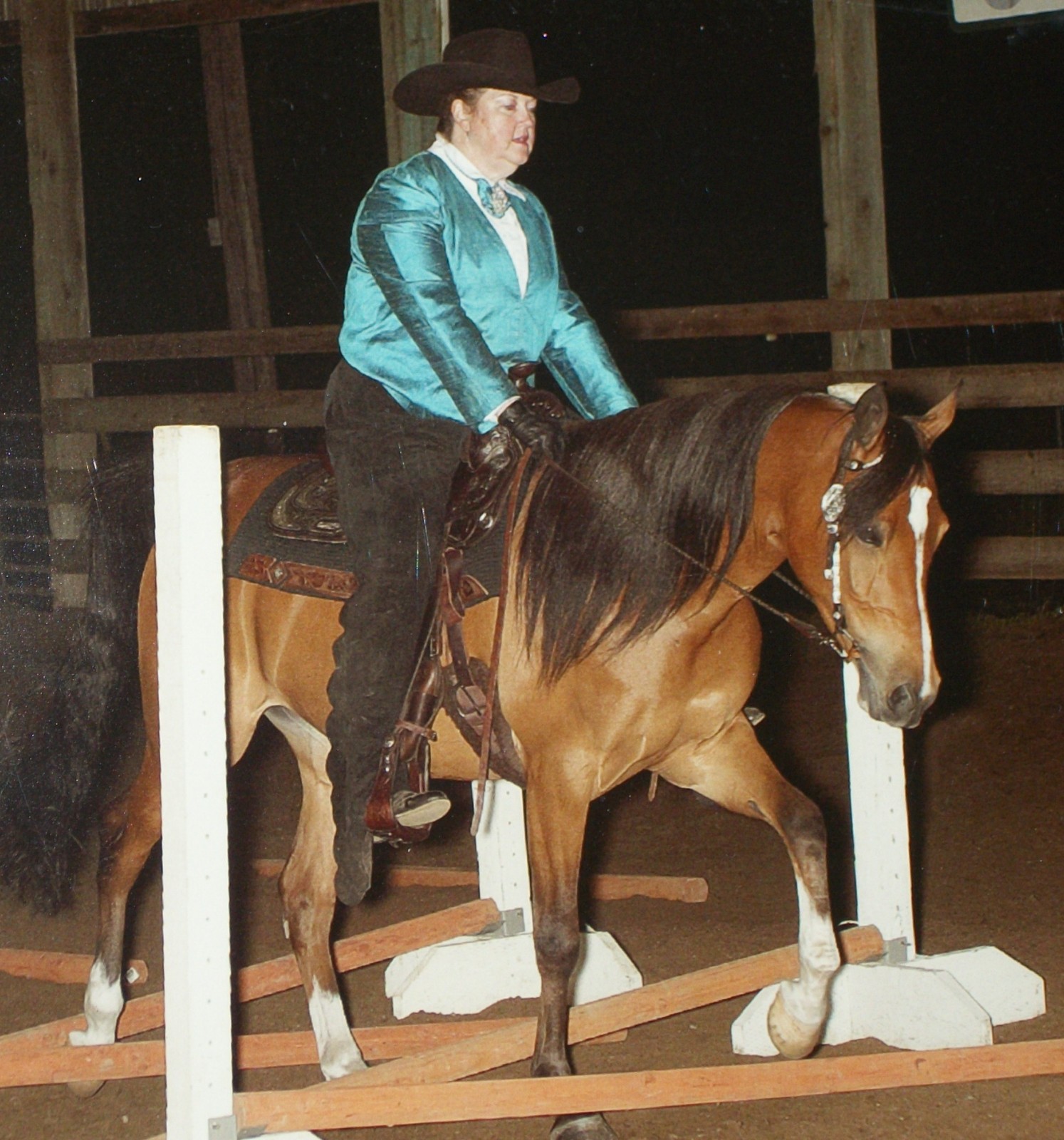 Chaps, Western Horse Show Women’s Size XL (18/20)