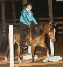 Chaps, Western Horse Show Women’s Size XL (18/20)